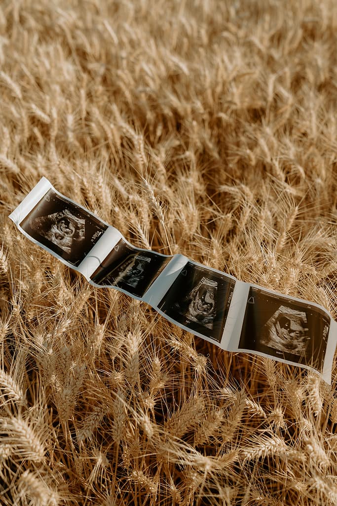 Close-up of ultrasound images laid out on the thick wheat, symbolizing the anticipation of their growing family.